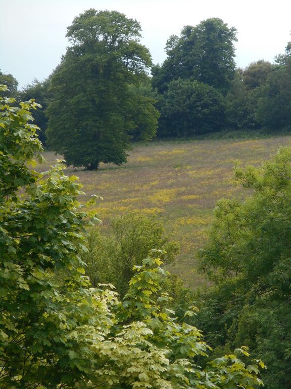 Diamond Hill Country House Waterford Bagian luar foto