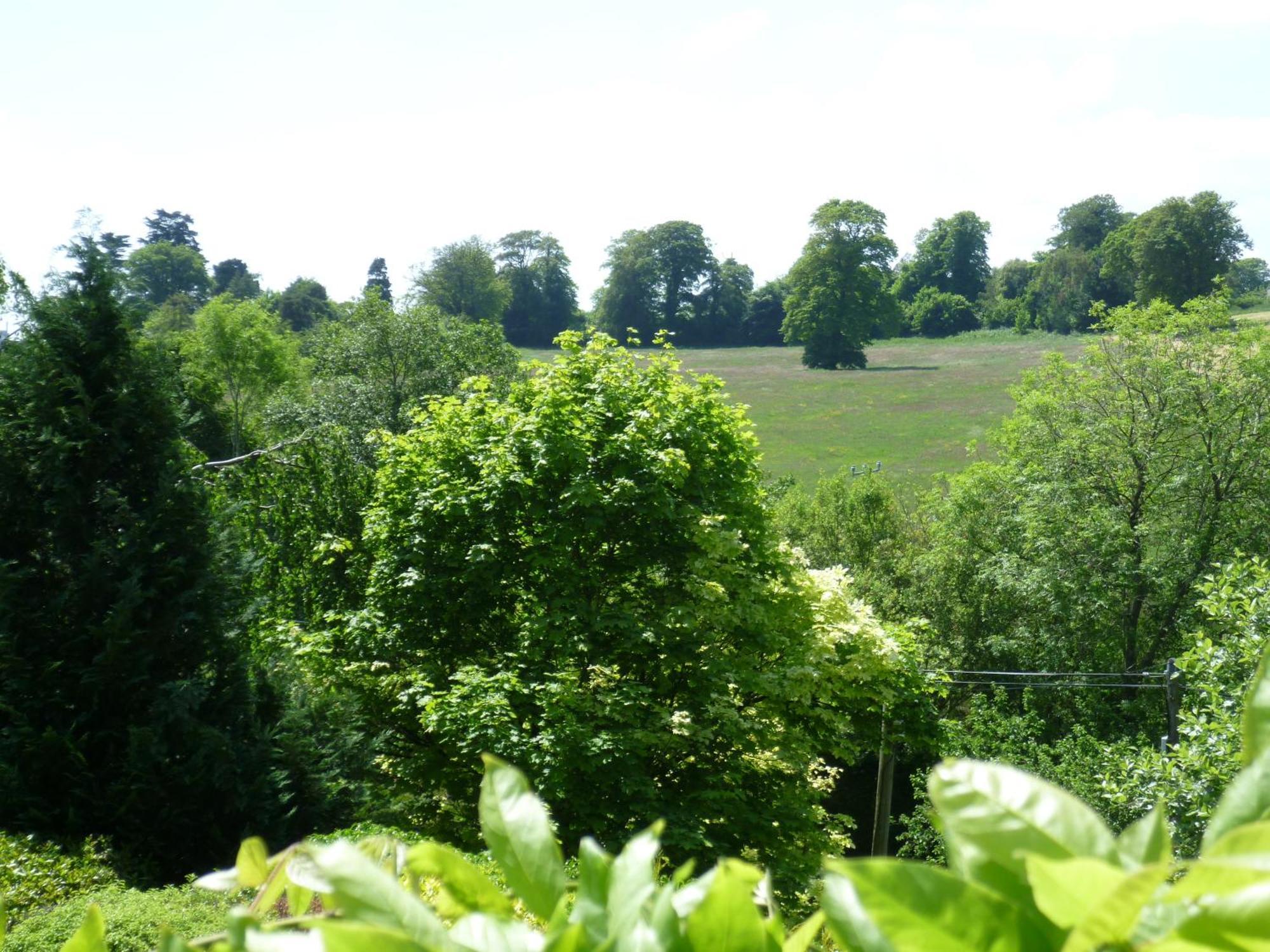 Diamond Hill Country House Waterford Bagian luar foto
