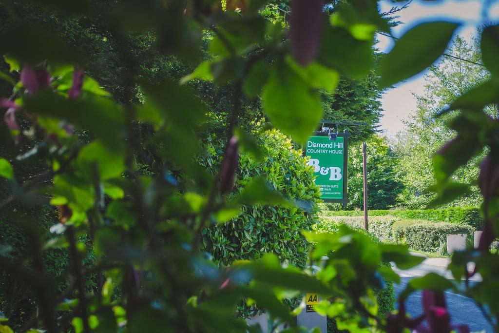 Diamond Hill Country House Waterford Bagian luar foto