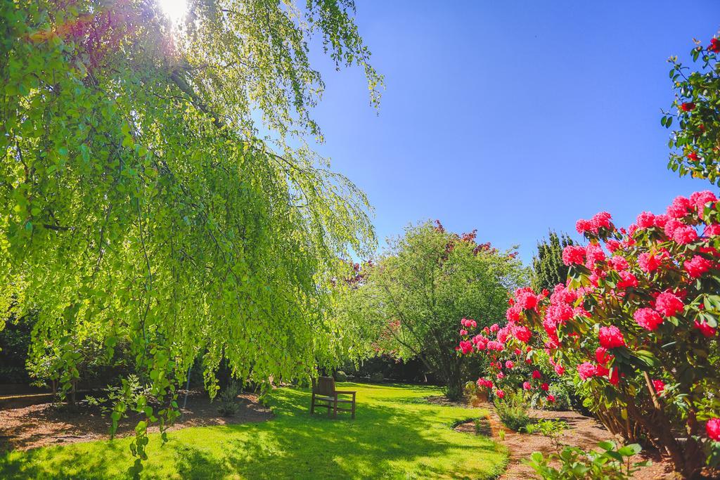 Diamond Hill Country House Waterford Bagian luar foto